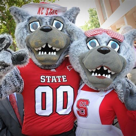 Creating an Icon: The Process of Naming the Wolfpack Mascot